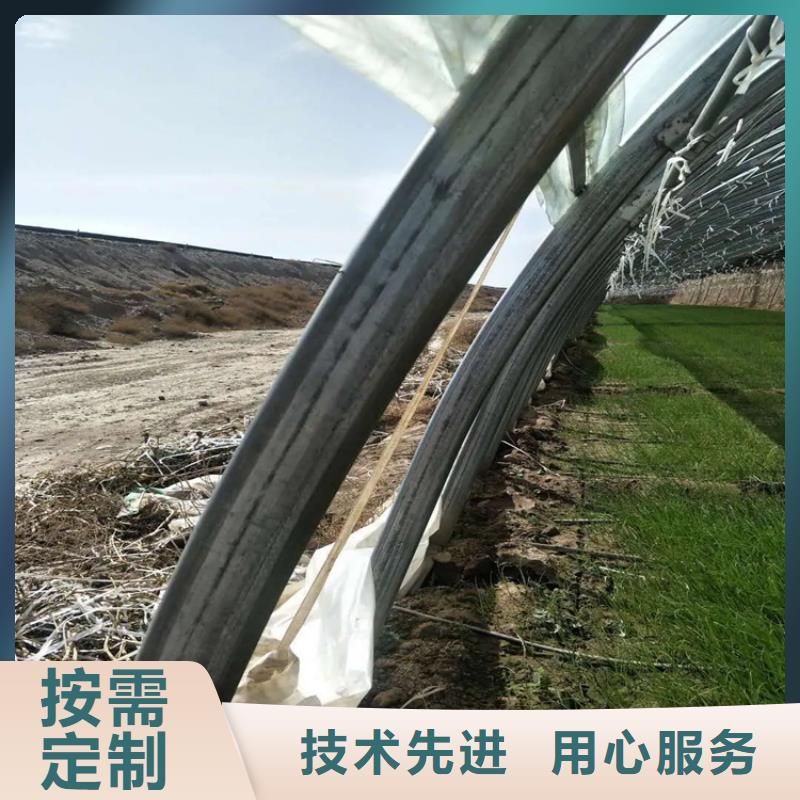 蔬菜大棚-連棟大棚-大棚配件當(dāng)天發(fā)貨