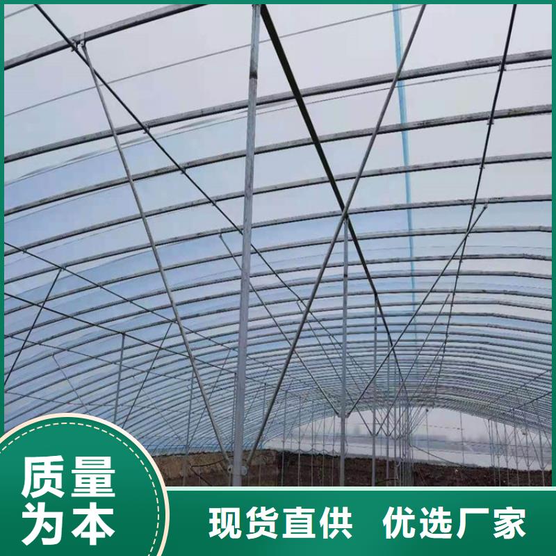 鍍鋅蔬菜大棚管6分大棚管可定做