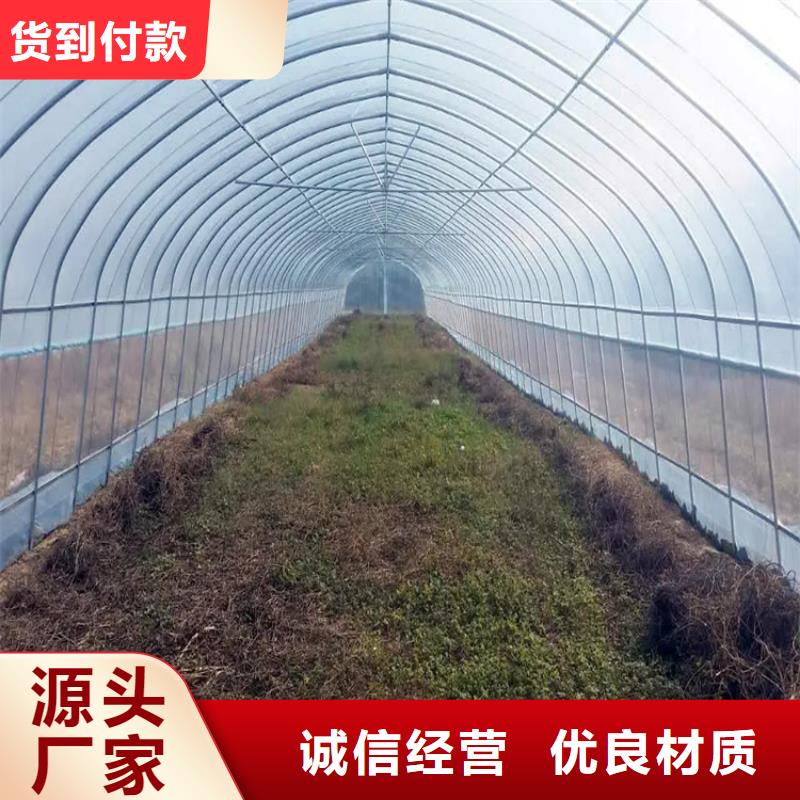 鍍鋅大棚管鍍錫C1221敢與同行比服務(wù)