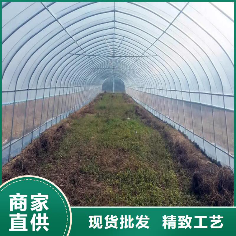 鍍鋅大棚管_T3紫銅排誠(chéng)信為本