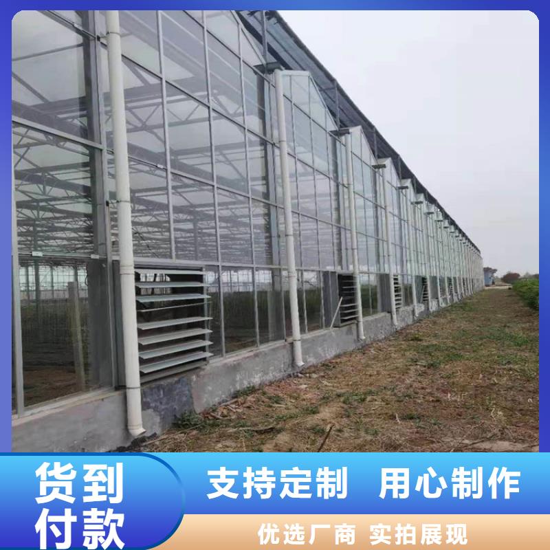 搭建蔬菜大棚造價(jià)廠家