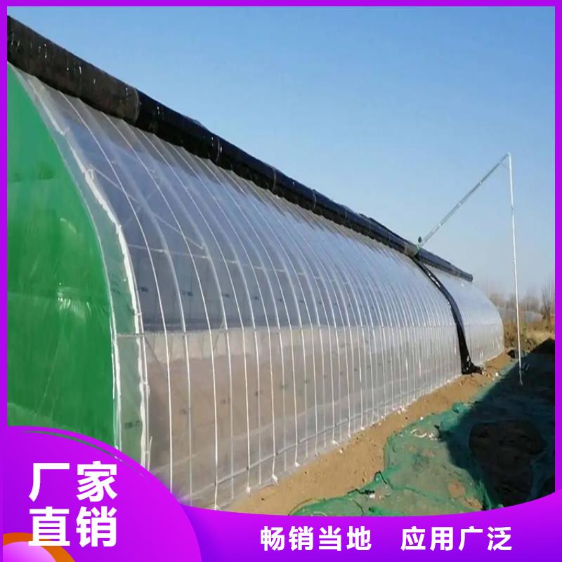 搭建蔬菜大棚造價(jià)廠家