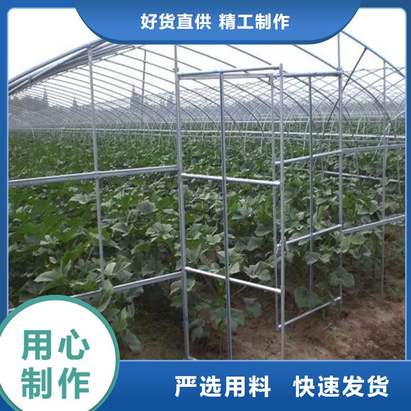 蔬菜大棚管-連棟大棚-配件可訂貨