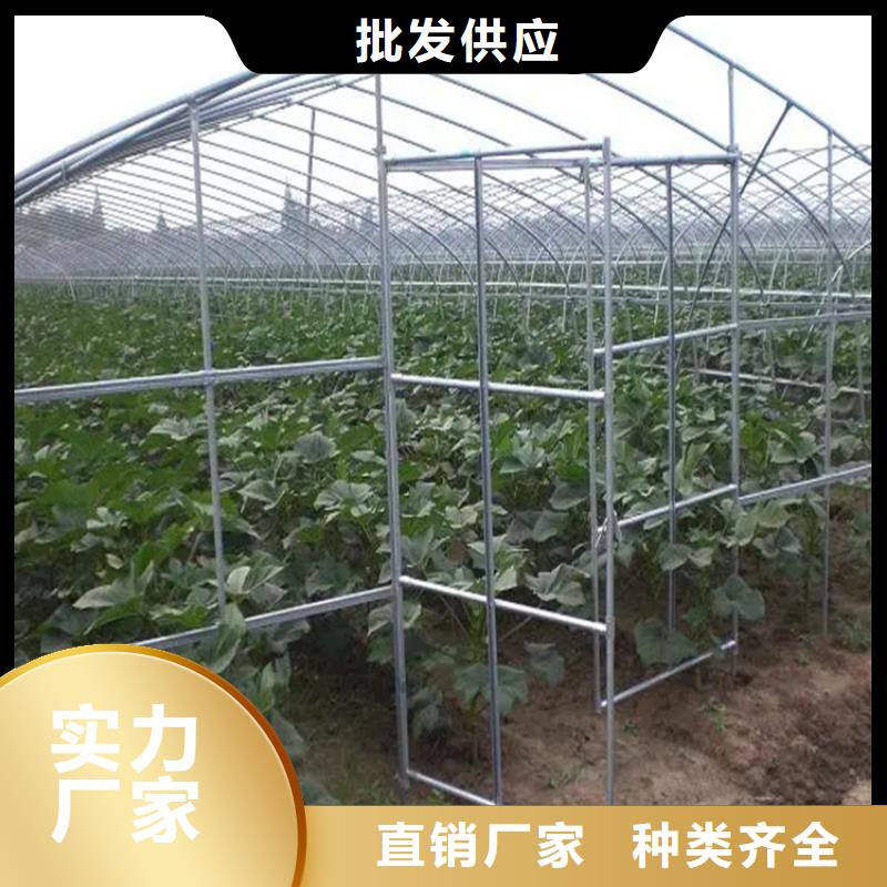 大棚管打孔縮頭 深加工折彎廠家銷售處