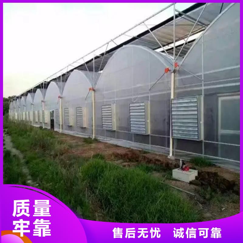 搭建蔬菜大棚造價(jià)廠家