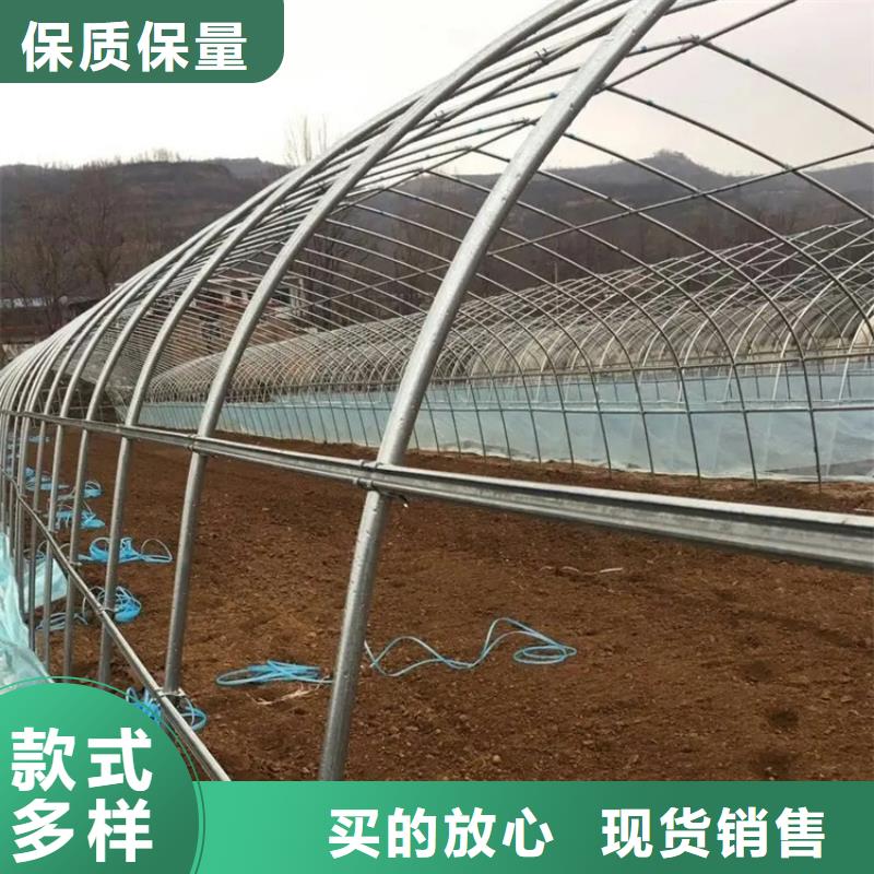 鍍鋅大棚管_鋁青銅C95400專(zhuān)業(yè)生產(chǎn)制造廠