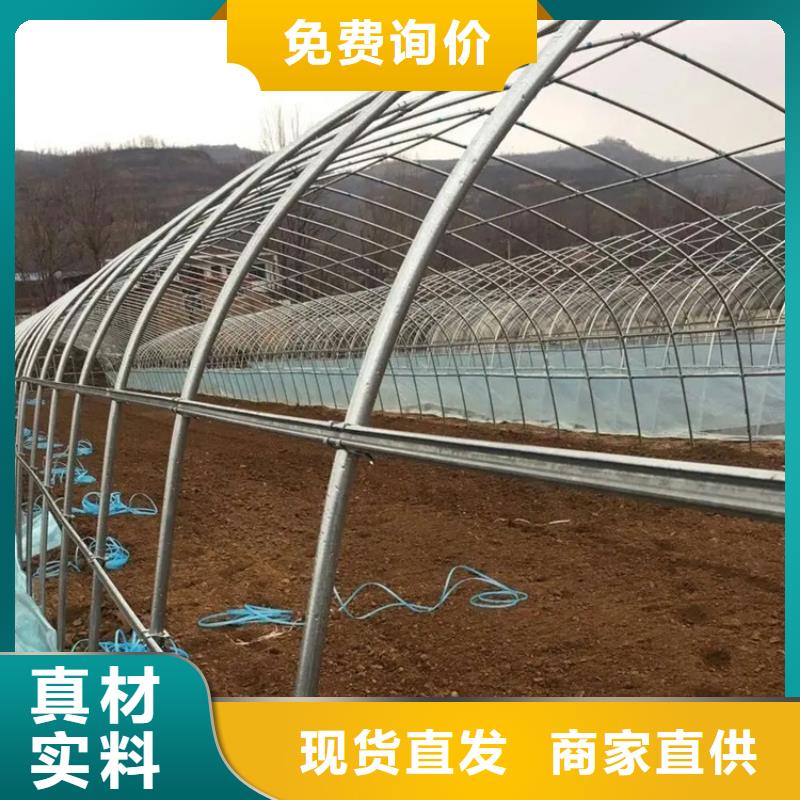 鍍鋅大棚管_TMY紫銅排源頭廠源頭貨