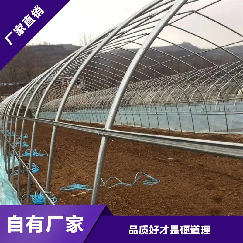 鍍鋅大棚管_【紫銅板】物流配送