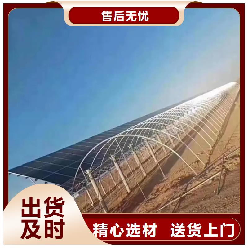 搭建蔬菜大棚造價(jià)廠家