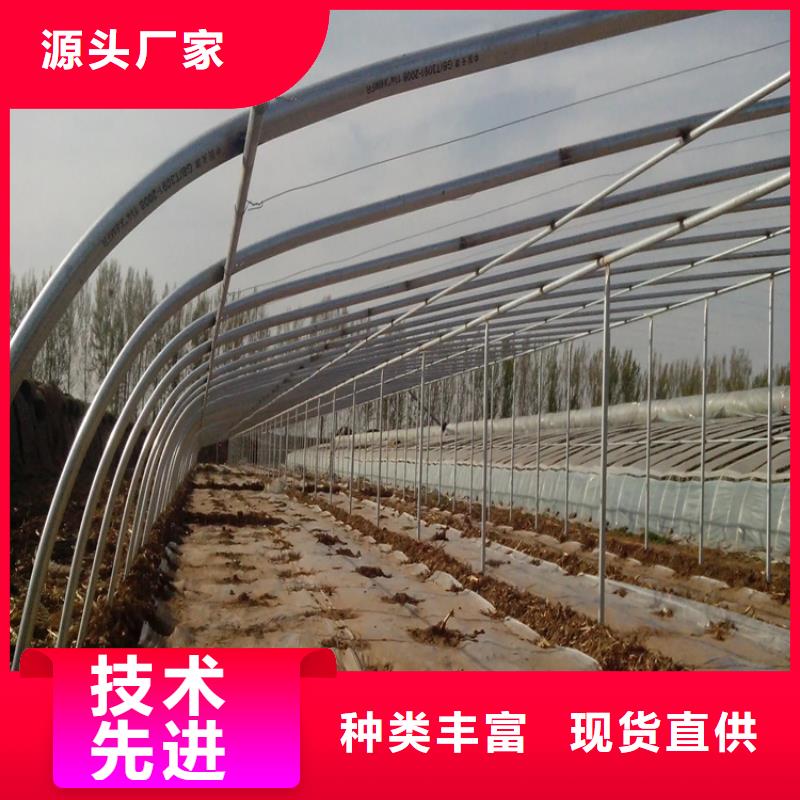 蔬菜大棚管廠(chǎng)家