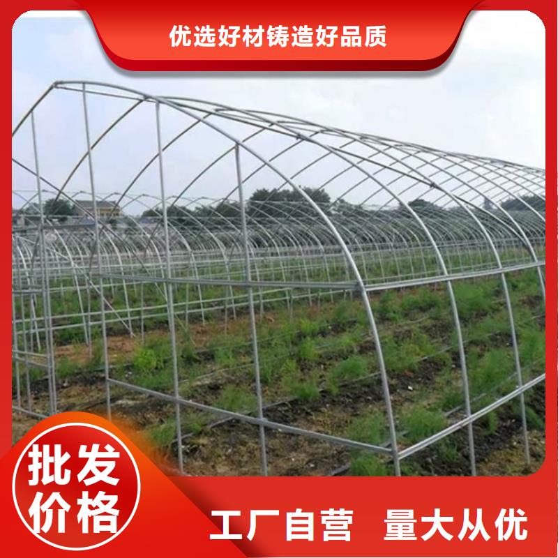 6分熱鍍鋅管蔬菜大棚管報價