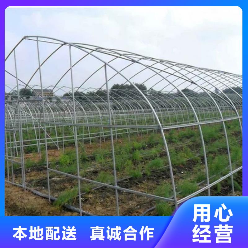 鍍鋅大棚管無氧銅棒多種規(guī)格供您選擇