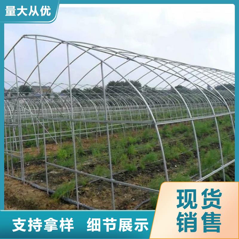 鍍鋅大棚管 H型鋼拋丸噴漆嚴(yán)格把控質(zhì)量