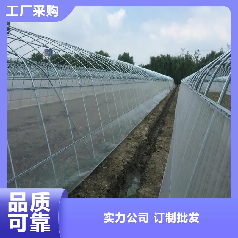 鍍鋅大棚管_TMY紫銅排源頭廠源頭貨