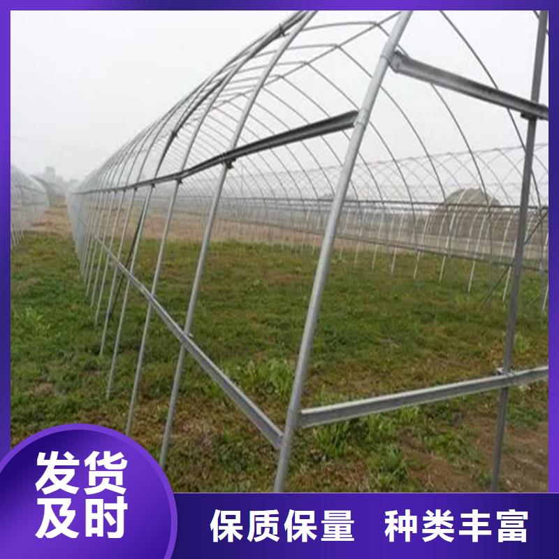 農(nóng)業(yè)大棚管_智能連棟溫室發(fā)貨快