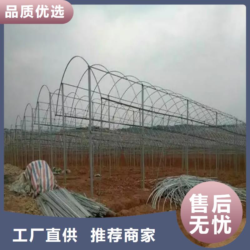 大棚管大棚管批發(fā)