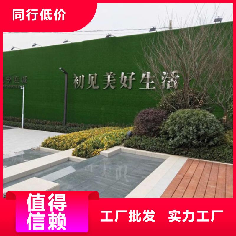 绿植塑料草坪：厂家报价-新款上市