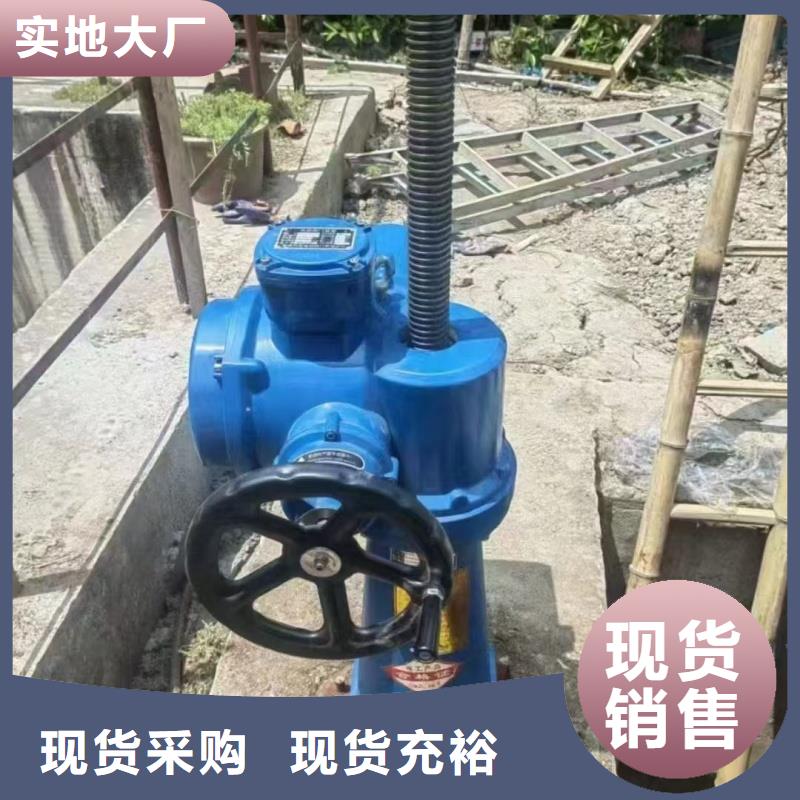 啟閉機(jī)_QL-SD手電兩用螺桿式啟閉機(jī)信譽(yù)有保證