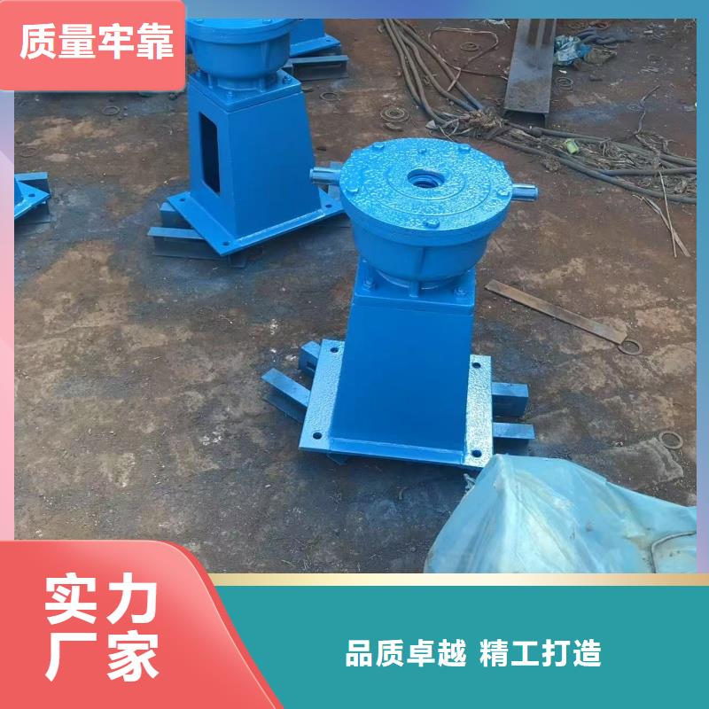 啟閉機-QL型200KN手電兩用啟閉機精工制作