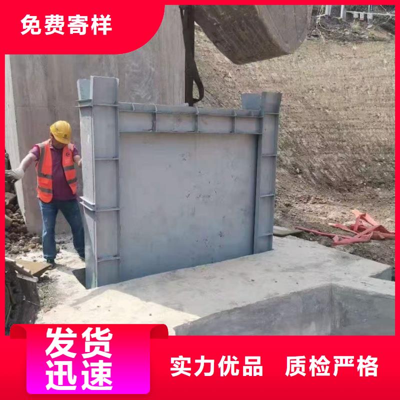 定輪鋼閘門價格實惠的廠家