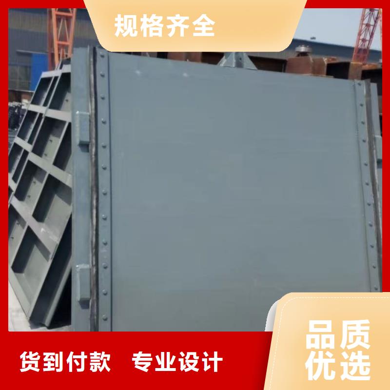 鋼制閘門 品牌:瑞鑫鑄鐵閘門啟閉機(jī)鋼閘門清污機(jī)水工機(jī)械廠