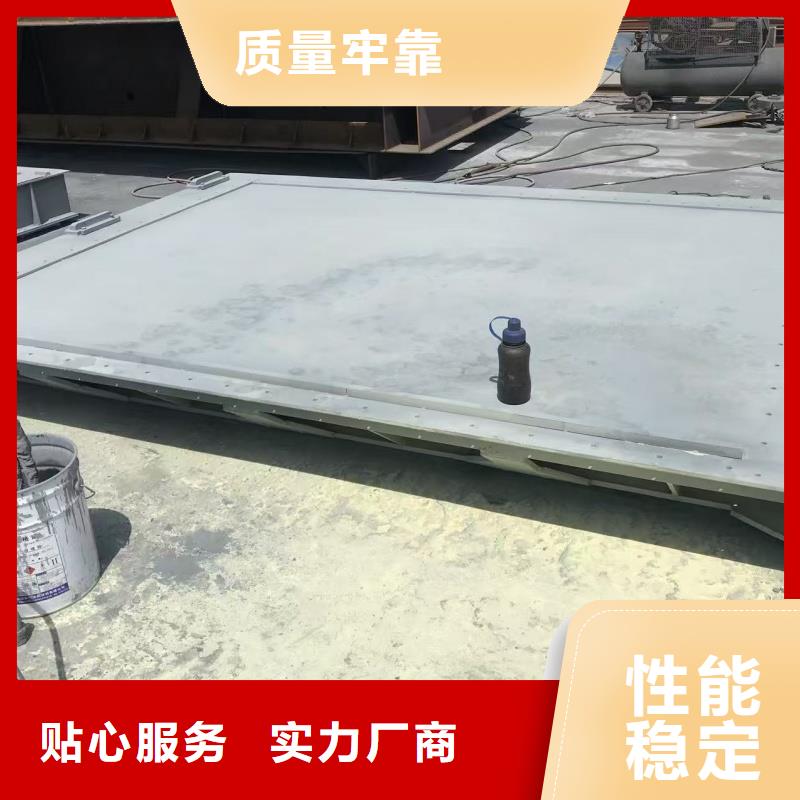 鋼制閘門 品牌:瑞鑫鑄鐵閘門啟閉機(jī)鋼閘門清污機(jī)水工機(jī)械廠