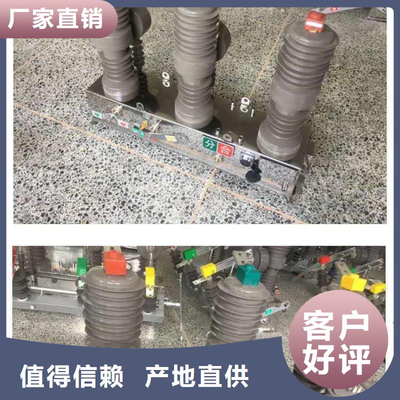 柱上装户外高压真空断路器