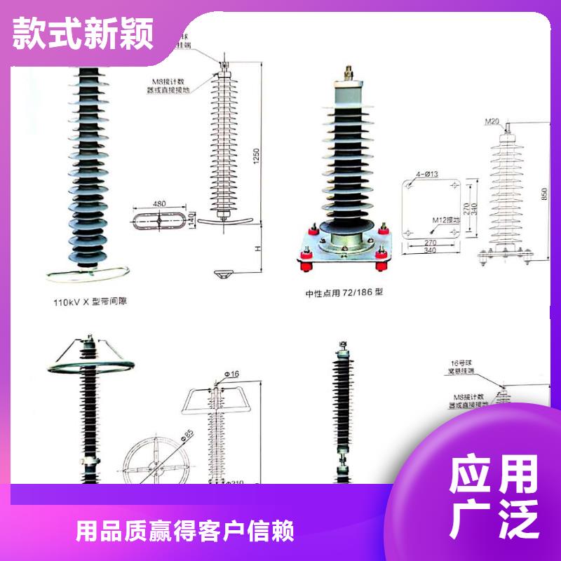 高压避雷器电站型复合氧化锌避雷器厂家直销