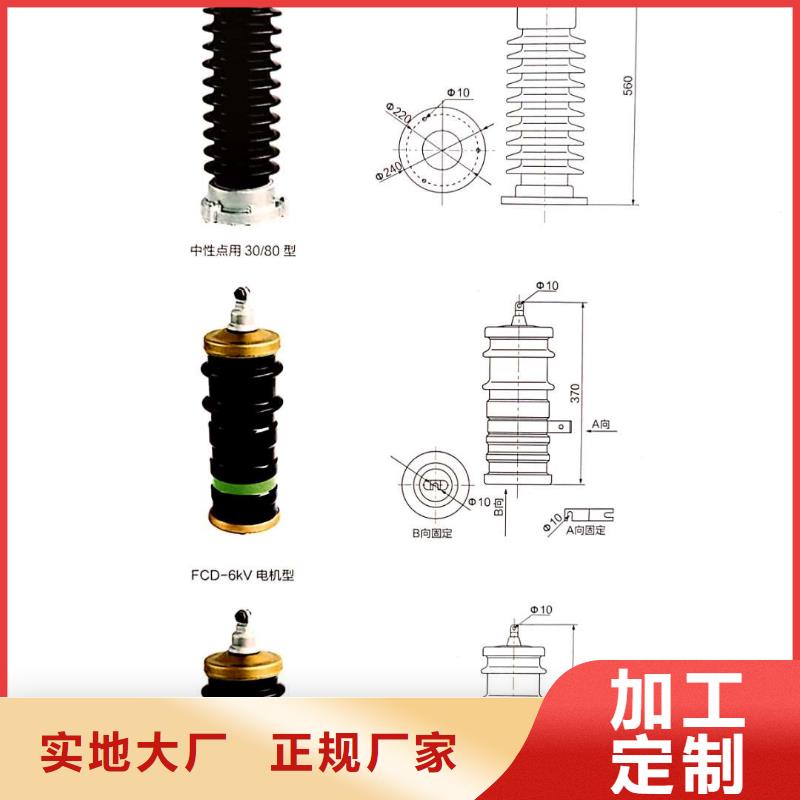 高压电站电机电容式避雷器高压避雷器直销