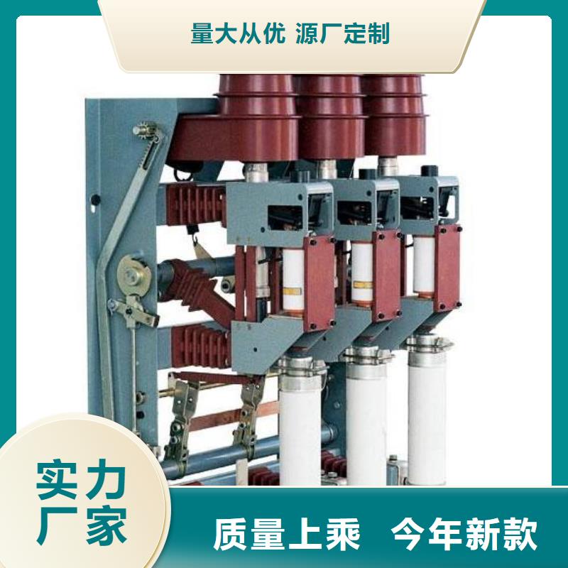 高压负荷开关户外跌落式避雷器品质商家