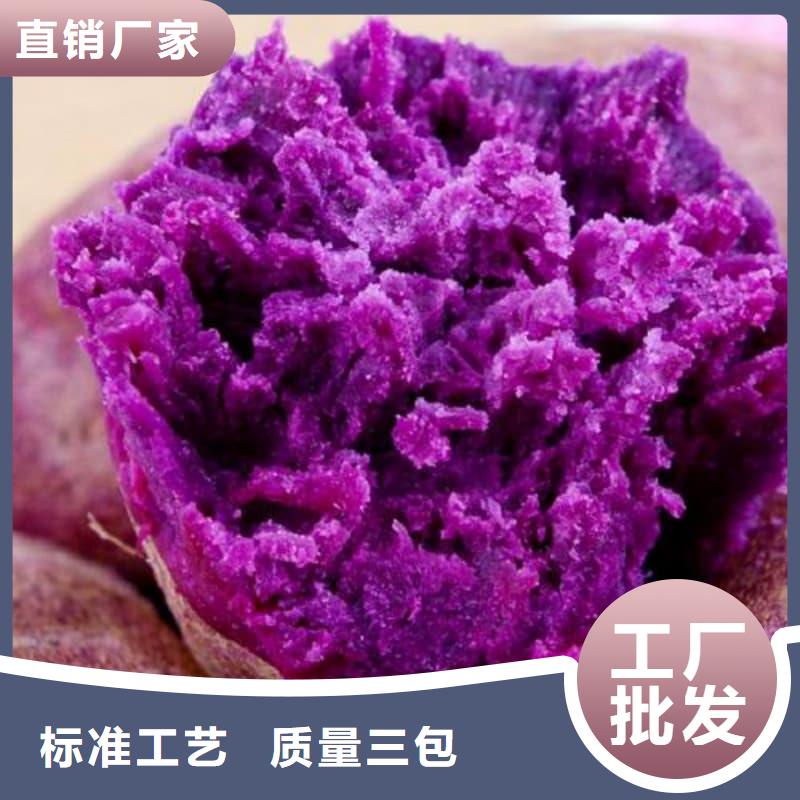 冷藏紫薯塊優(yōu)質(zhì)品牌