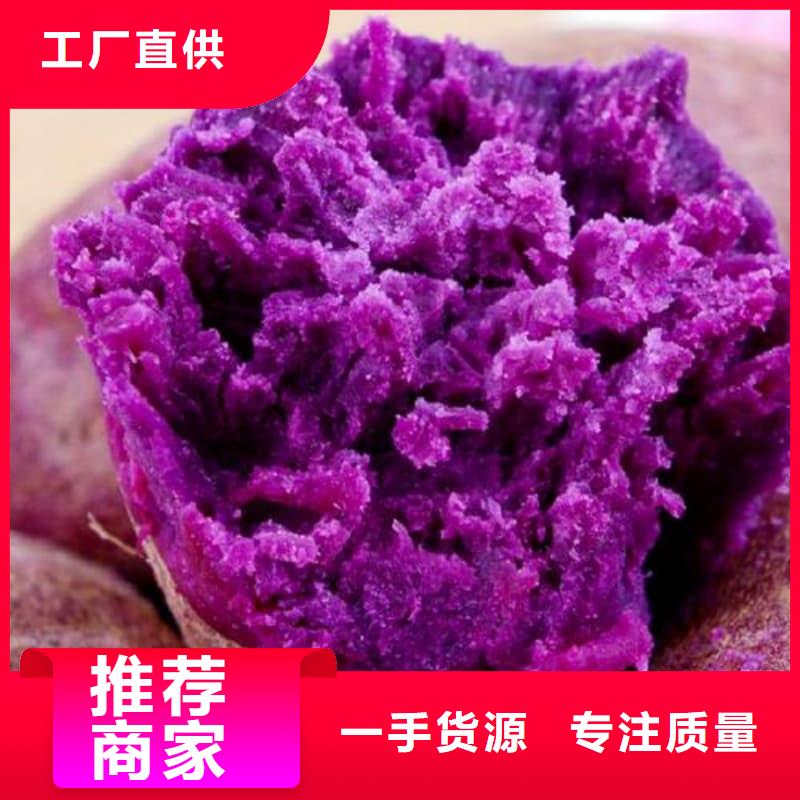 定制紫薯速凍塊的廠家
