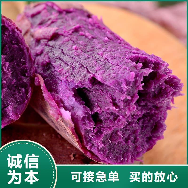 支持定制的紫薯凍塊生產(chǎn)廠家