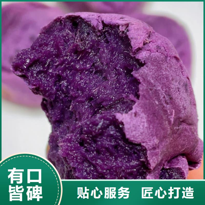 速凍紫薯塊加工效果好