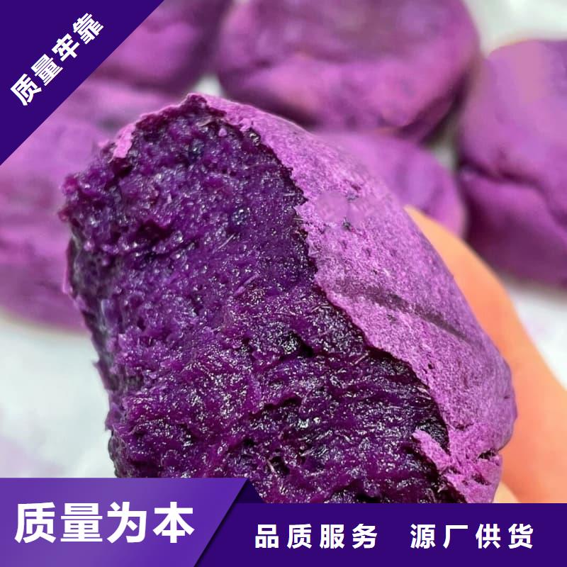冷凍紫薯塊制作商