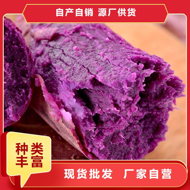 食品級紫薯凍塊價格實惠