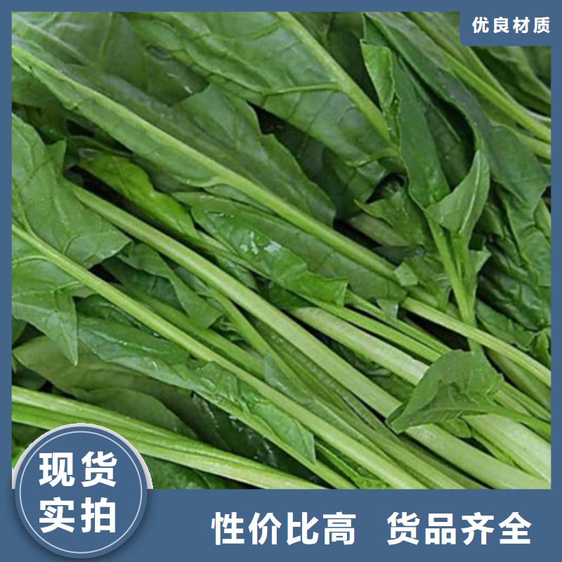 菠菜段工厂直销