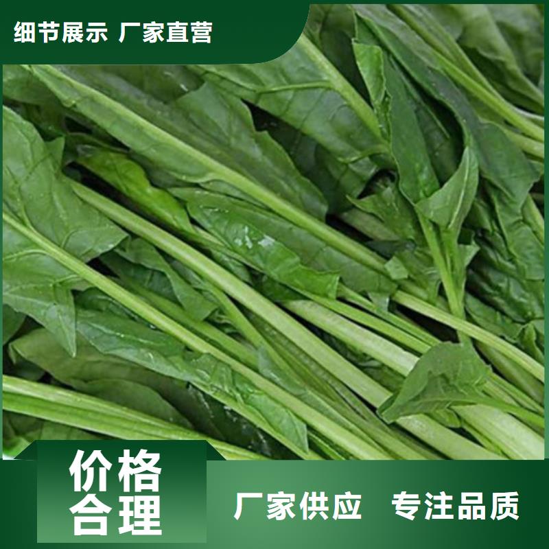 菠菜全粉实力厂家