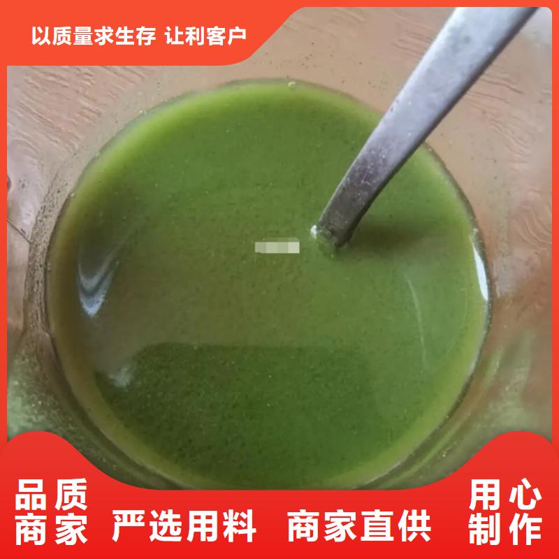 脫水羽衣甘藍(lán)廠家供應(yīng)