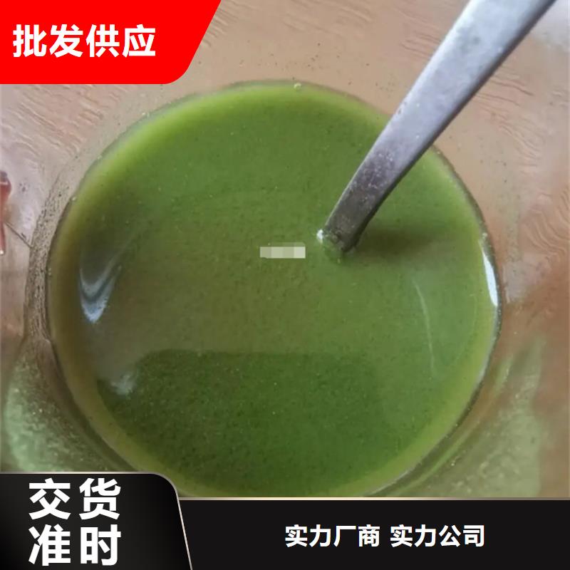 批发羽衣甘蓝粉饮料的公司