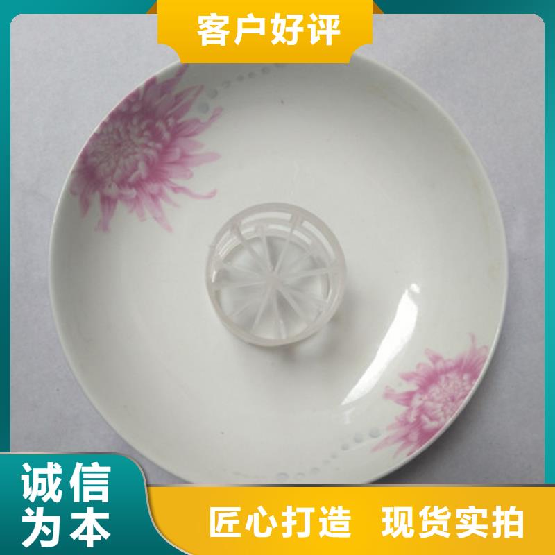 【鲍尔环填料_组合填料来图加工定制】