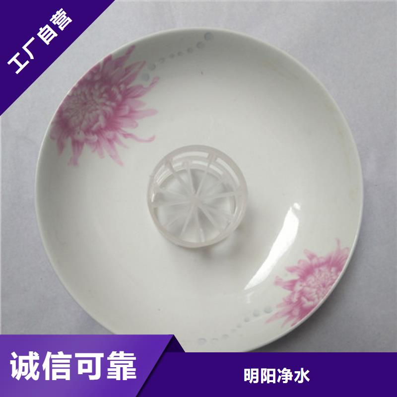 鲍尔环填料【pam阳离子】工厂自营