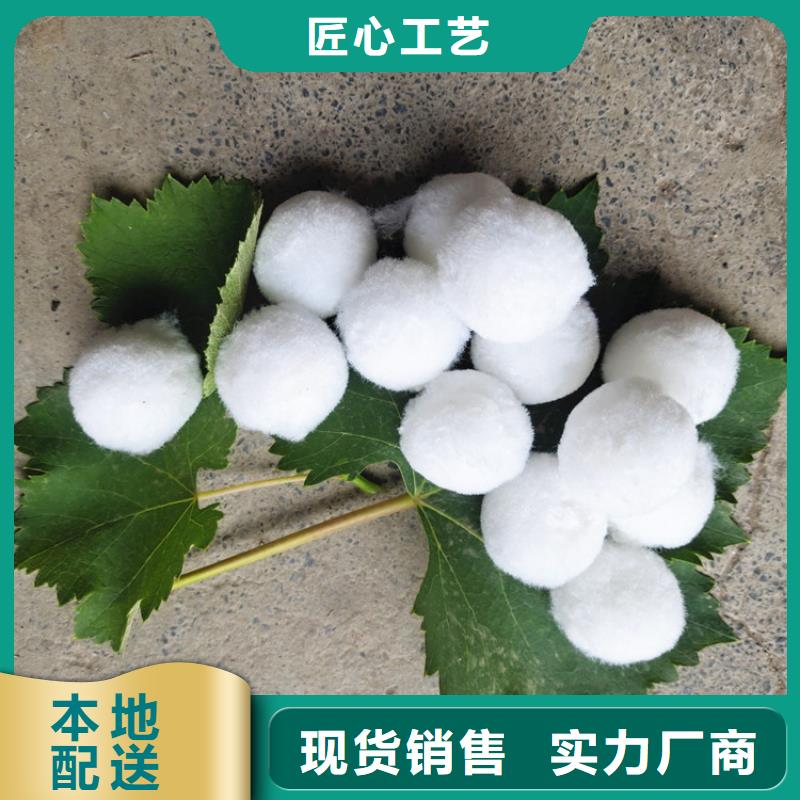 万宁市纤维球过滤器填料质量优