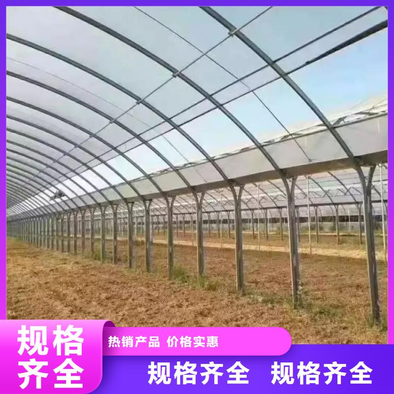 获嘉果树骨架钢管价格