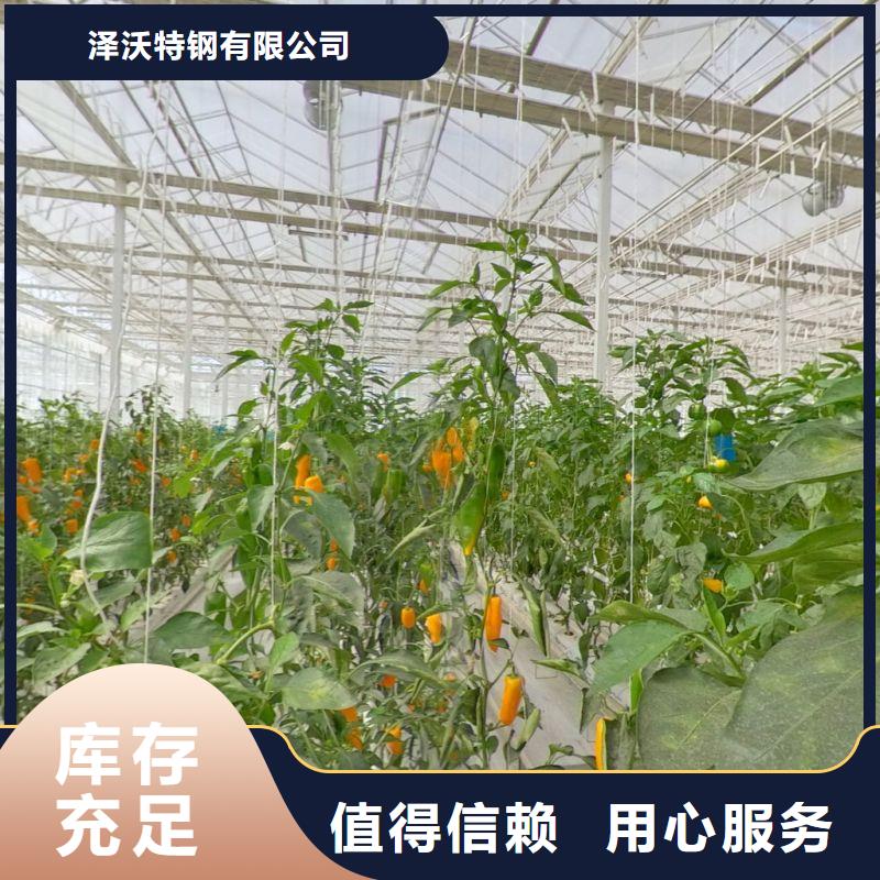 大棚管2温室薄膜大棚质量好