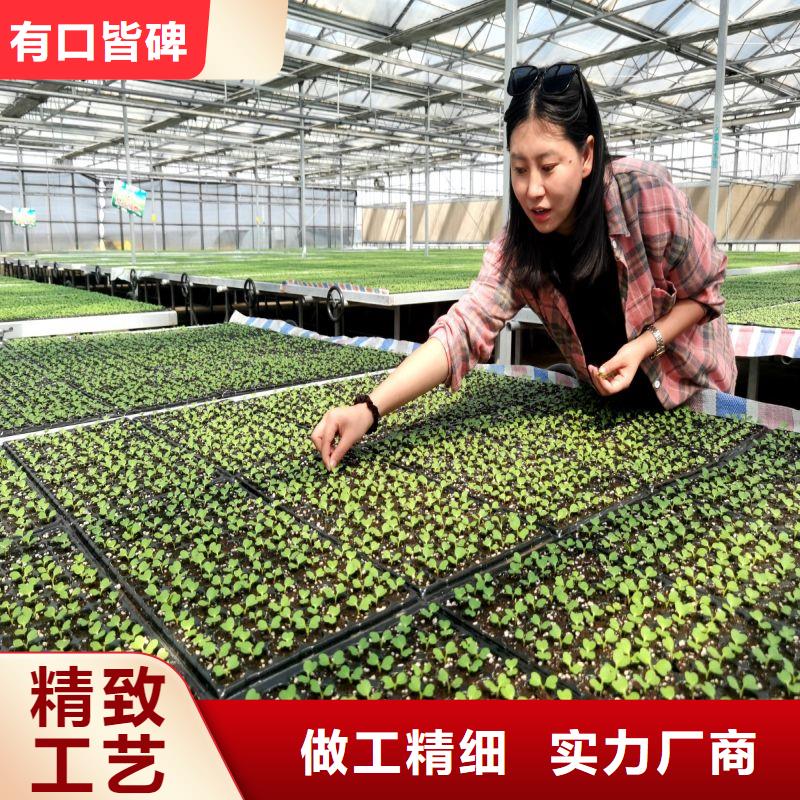 大棚管2【蔬菜温室大棚管】拥有核心技术优势