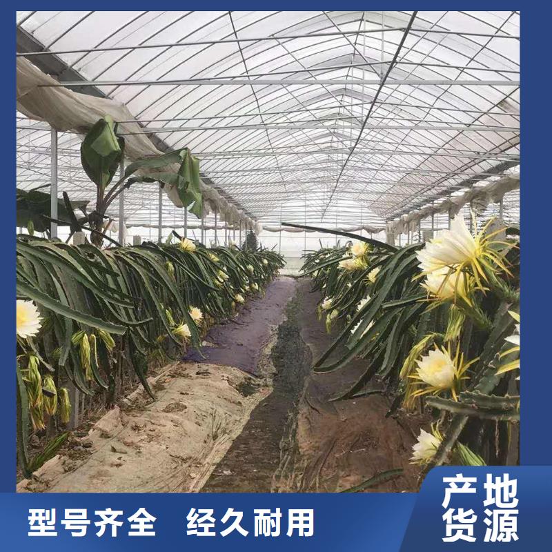 6分大棚管用心服务