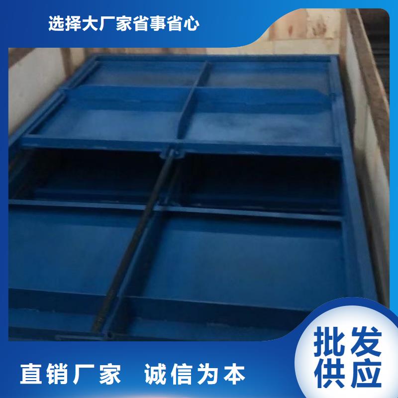 多年專注動(dòng)滑輪鋼制閘門(mén)生產(chǎn)的廠家