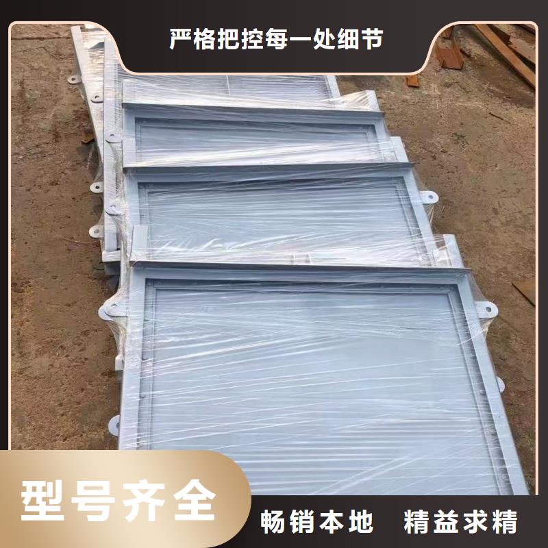 鋼制帶筒閘門直銷廠家