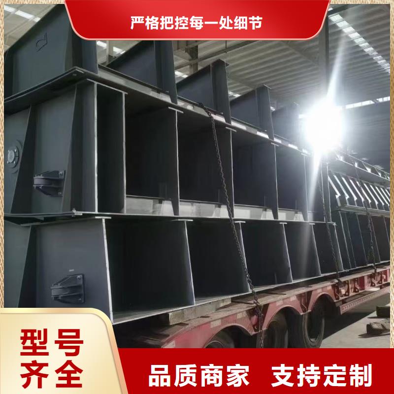 多年專注動(dòng)滑輪鋼制閘門(mén)生產(chǎn)的廠家